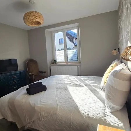 Cote Chateaux Au Centre Alsace شقة كينتزهيم