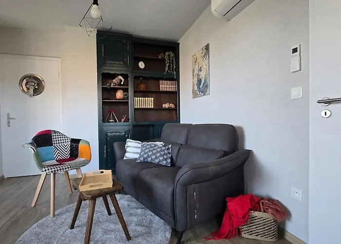 Daire Cote Chateaux Au Centre Alsace Kintzheim