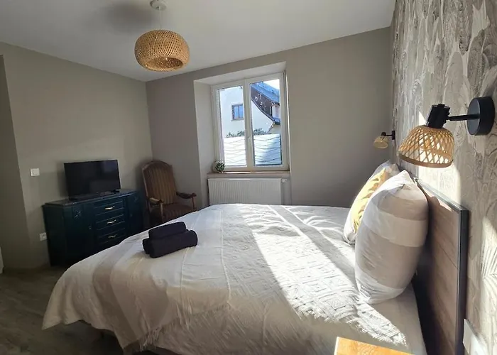 Cote Chateaux Au Centre Alsace شقة كينتزهيم