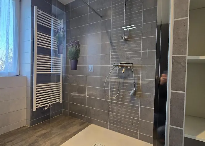 Cote Chateaux Au Centre Alsace *