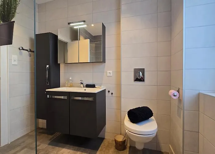 Cote Chateaux Au Centre Alsace *